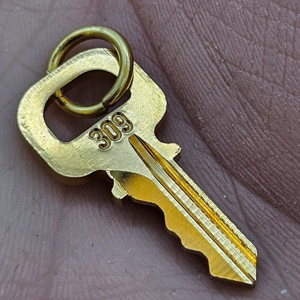 LV Key  #309